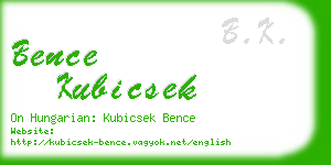 bence kubicsek business card